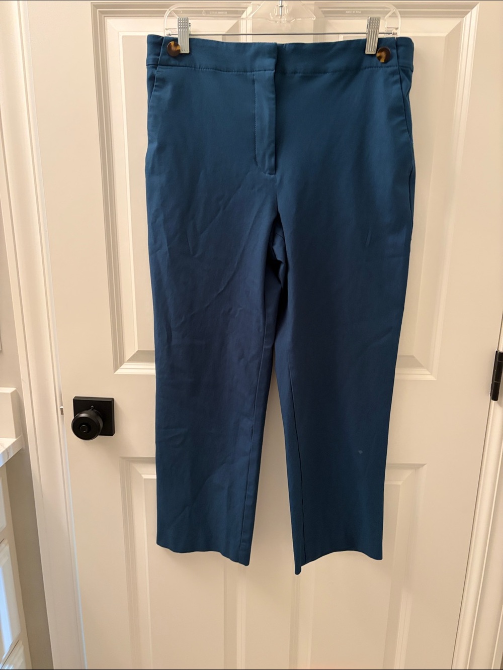 Ann Taylor Women’s Pants in Teal